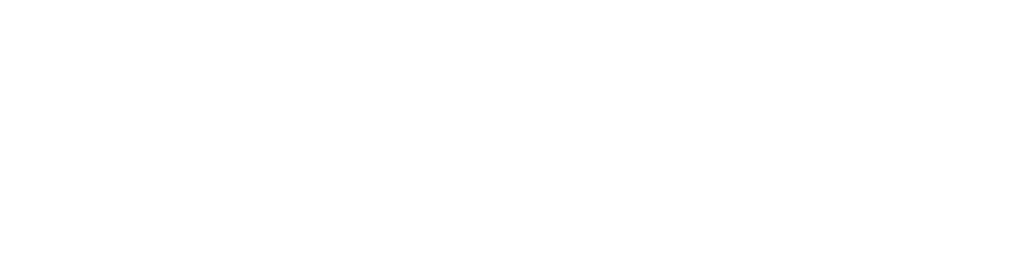 LiveWire Electrical in Charlotte NC Logo